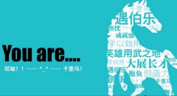 伯乐在此 慧眼搜寻千里马