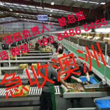 四川澳金斯商务咨询公司 产品供应与人才招聘