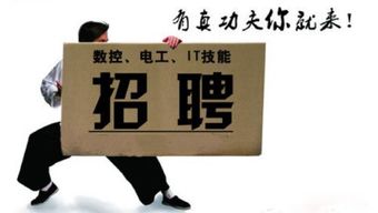 2019届大学毕业生就业形势究竟如何 理想很丰满，现实很骨感